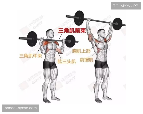 篮球五秒违例的判定标准，新手如何避免？