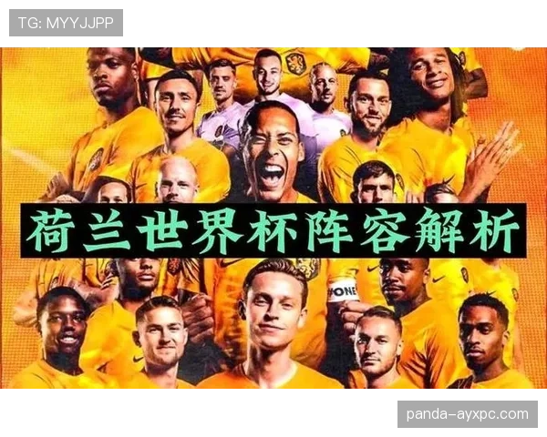荷兰世界杯球队战术体系是否成熟
